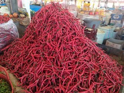 Harga Cabai di Aceh Naik dari Rp 20.000/Kg Jadi Rp 60.000/Kg