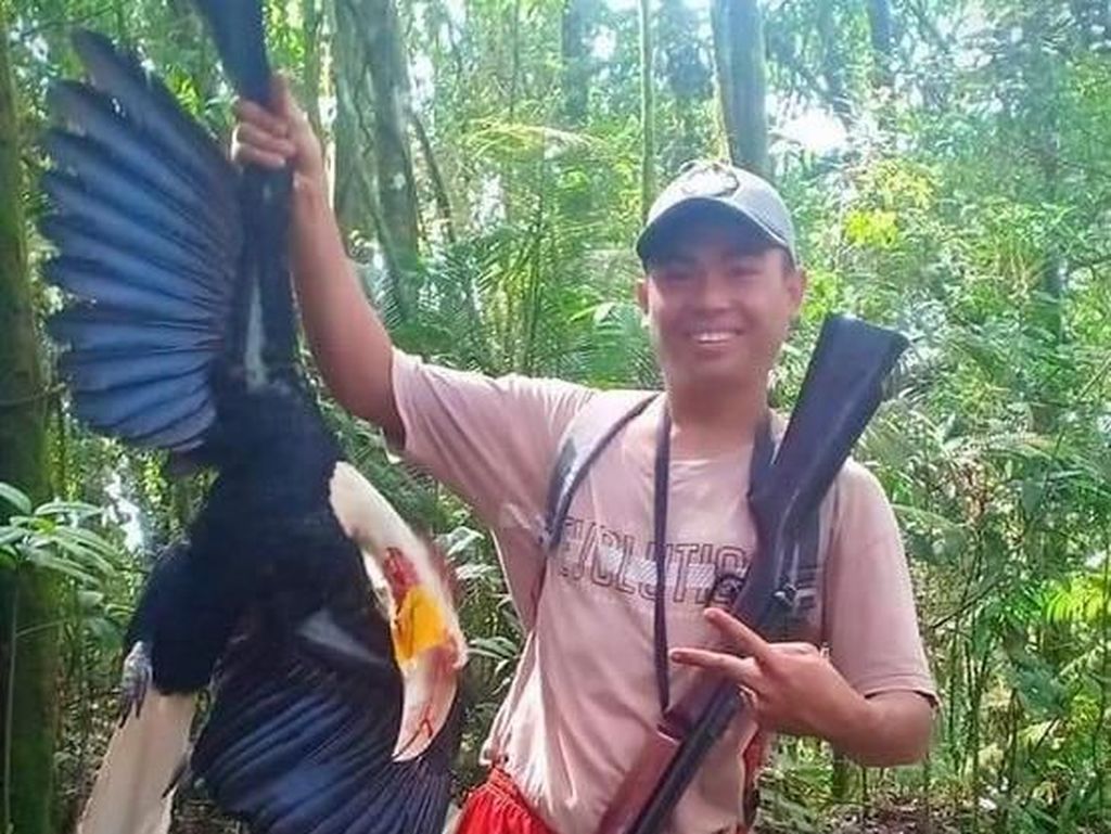 Viral Foto Pria Pamer Tembak Burung Rangkong, KLHK: Kami Akan Tindak Tegas Viral Foto Pria Pamer Tembak Burung Rangkong, KLHK: Kami Akan Tindak Tegas