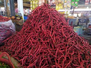 Cabai Masih Jadi Penyumbang Utama Laju Inflasi