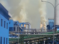 BUMN Terlilit Utang?