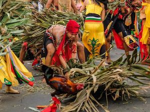 Turis Asing Terhipnotis Atraksi Kebal Menginjak Duri Tajam di Kalteng