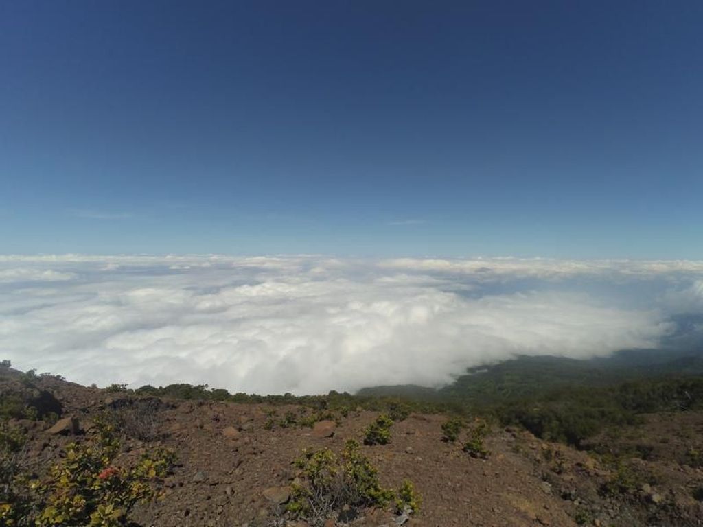 Sensasi Mendaki Gunung Slamet via Jalur Baturaden Sensasi Mendaki Gunung Slamet via Jalur Baturaden