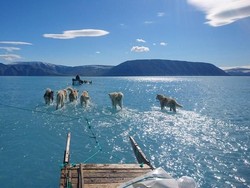 Lautan Es Greenland Meleleh Tak Lazim, Peneliti Ingatkan Dampaknya ke Dunia
