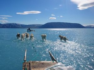 Lautan Es Greenland Meleleh Tak Lazim, Peneliti Ingatkan Dampaknya ke Dunia Lautan Es Greenland Meleleh Tak Lazim, Peneliti Ingatkan Dampaknya ke Dunia