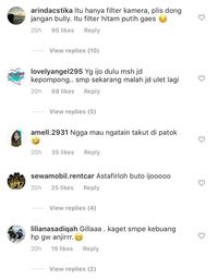 Sedih, Wajah Lawas Rosa Meldianti Disebut Mirip Buto Ijo