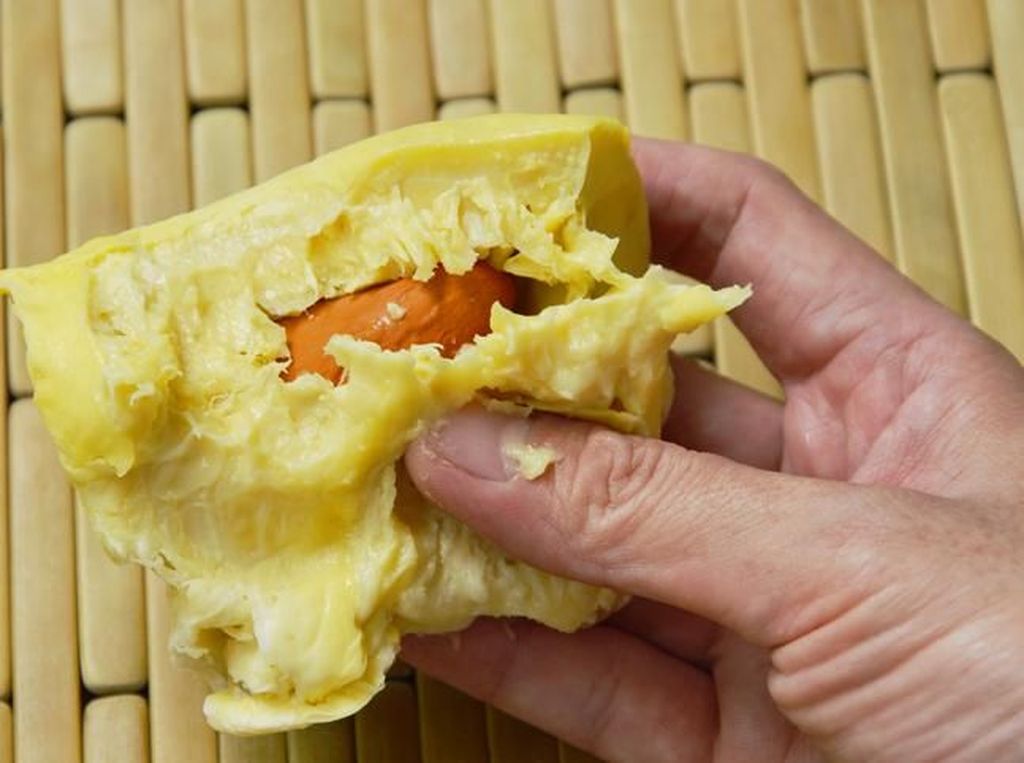 Pencinta Durian Bisa Ikut Tur Sambil Makan Durian Enak di Penang Pencinta Durian Bisa Ikut Tur Sambil Makan Durian Enak di Penang