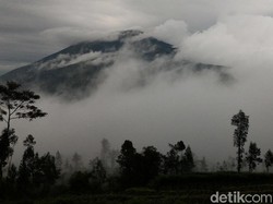 Anak Gunung Wajib Tahu! Pendakian Merbabu Dibuka Lagi Mulai Besok