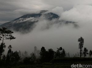 Anak Gunung Wajib Tahu! Pendakian Merbabu Dibuka Lagi Mulai Besok Anak Gunung Wajib Tahu! Pendakian Merbabu Dibuka Lagi Mulai Besok