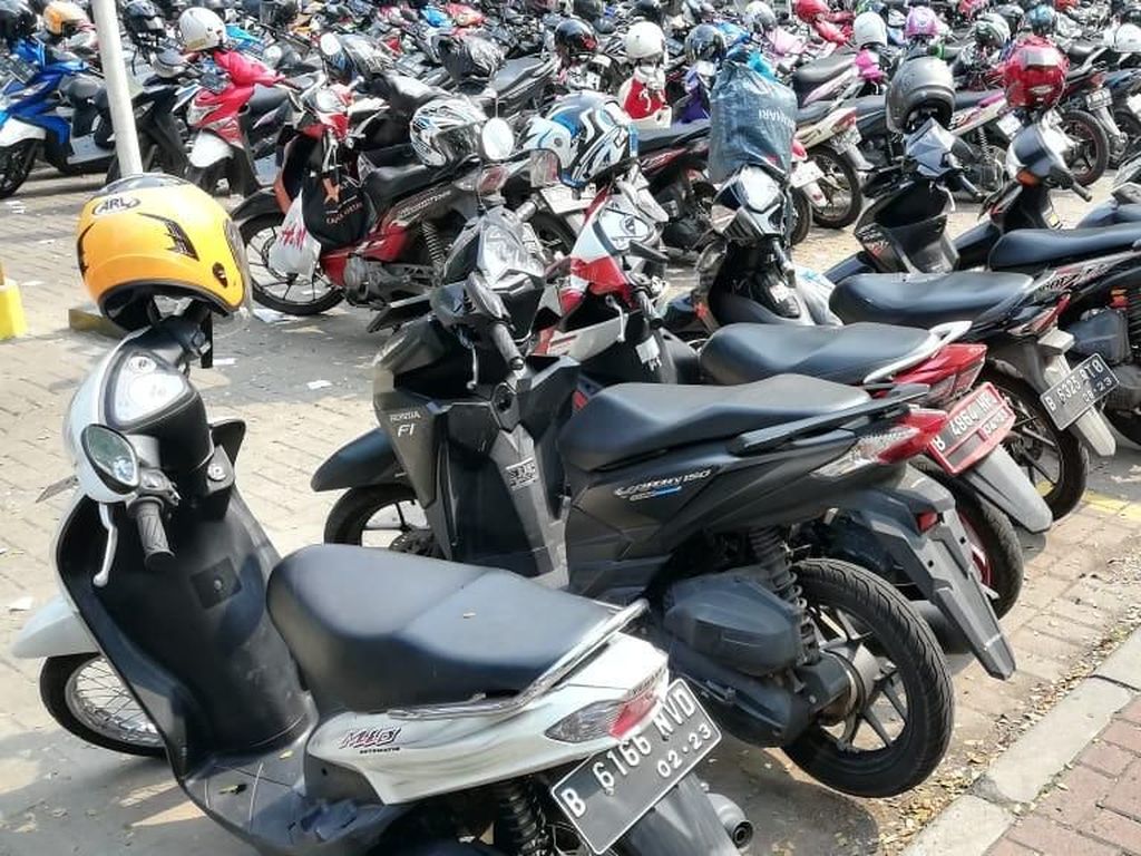 Lahan Parkir Cetak Puluhan Juta Rupiah hingga Buka Lapangan Kerja Lahan Parkir Cetak Puluhan Juta Rupiah hingga Buka Lapangan Kerja