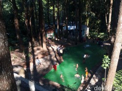 Semarang Punya Kolam Renang di Tengah Hutan Pinus