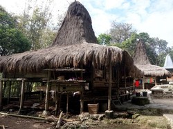 Desa Adat Praijing di Sumba Barat, Kamu Mesti Kesana!