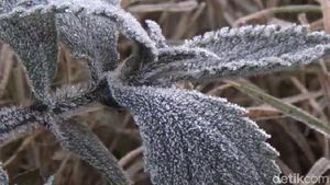 Lagi, Fenomena Salju Kembali Turun di Kawasan Bromo