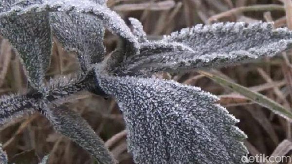 Lagi, Fenomena Salju Kembali Turun di Kawasan Bromo