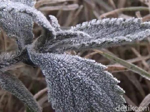 Lagi, Fenomena Salju Kembali Turun di Kawasan Bromo