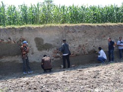 Struktur Bata Kuno Sisa Permukiman Majapahit Ditemukan Penggali Pasir