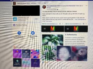 Viral Anak 4 Tahun Keracunan Gara-gara Gigit Tanaman Hias