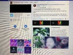 Viral Anak 4 Tahun Keracunan Gara-gara Gigit Tanaman Hias