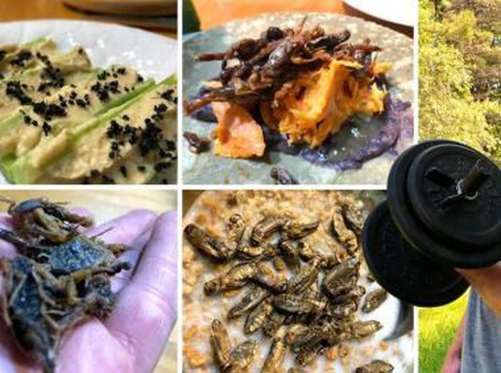 Pilih Jadi Vegan, Remaja Ini Santap Serangga Sebagai Sumber Protein Pilih Jadi Vegan, Remaja Ini Santap Serangga Sebagai Sumber Protein