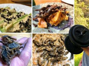 Pilih Jadi Vegan, Remaja Ini Santap Serangga Sebagai Sumber Protein Pilih Jadi Vegan, Remaja Ini Santap Serangga Sebagai Sumber Protein