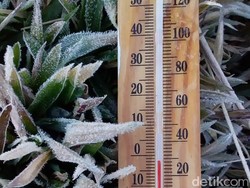 Mau Tahu Apa Ada Embun Es di Dieng? Cek Aplikasi Ini