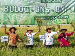 Salurkan KUR ke Sektor Pangan, BNI Pertajam Kerja Sama UNS & Bulog