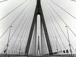 Simetris: Pengertian, Kondisi, Ciri-ciri, Jenis, dan Tujuan