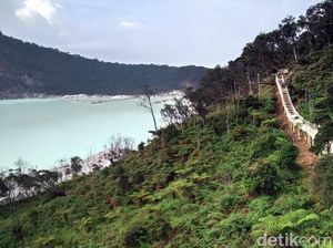 Usai Kebakaran Hutan, Kawah Putih Ramai Dikunjungi Wisatawan Usai Kebakaran Hutan, Kawah Putih Ramai Dikunjungi Wisatawan