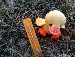 Pagi Ini Suhu Terdingin di Dieng Sepanjang 2019: Minus 5 Derajat