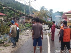 Pohon Tumbang di Padang, 1 Mobil dan 2 Rumah Rusak