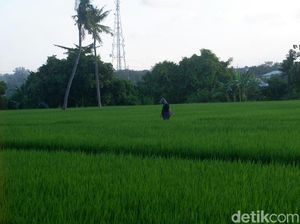 Double Track Pertanian di Tengah Badai Resesi