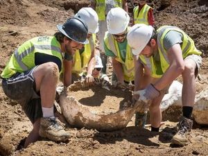 Fosil Dinosaurus Berusia 68 Juta Tahun Ditemukan di Panti Jompo AS