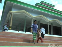 Selain Rumah, Ulat Bulu Juga Serbu Masjid dan Sekolah di Pasuruan