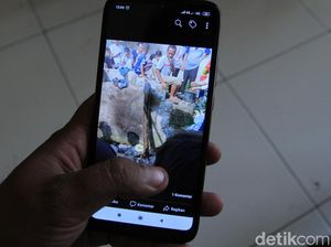 Usai Lilit Mati Jana, Ular Sanca Dieksekusi Warga