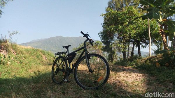 Foto: Jalur Sepeda di Semarang yang Segar Banget