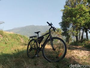 Foto: Jalur Sepeda di Semarang yang Segar Banget