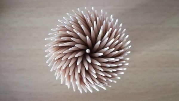 Kumpulan Foto Sempurna yang Manjakan Mata