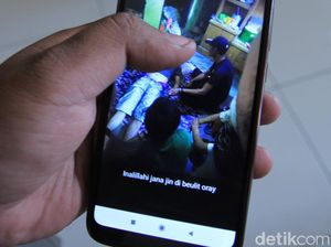Selain Sanca Kembang yang Tewaskan Jana, Ular Ini Juga Dilarang Dipelihara Selain Sanca Kembang yang Tewaskan Jana, Ular Ini Juga Dilarang Dipelihara