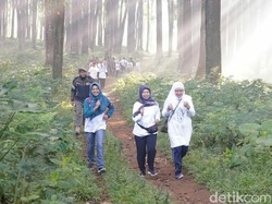Banyuwangi Gombengsari Plantation Run 2019 Diramaikan Ribuan Pelari
