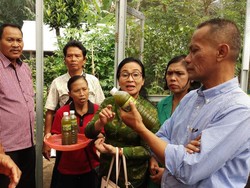 Budidaya Lele & Kangkung, Warga Bali Hemat Pengeluaran Rp 750 Ribu
