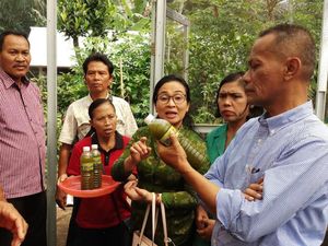 Budidaya Lele & Kangkung, Warga Bali Hemat Pengeluaran Rp 750 Ribu Budidaya Lele & Kangkung, Warga Bali Hemat Pengeluaran Rp 750 Ribu