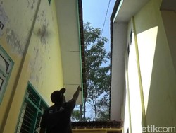 Masjid dan Sekolah Juga Diserbu Ulat Bulu di Pasuruan