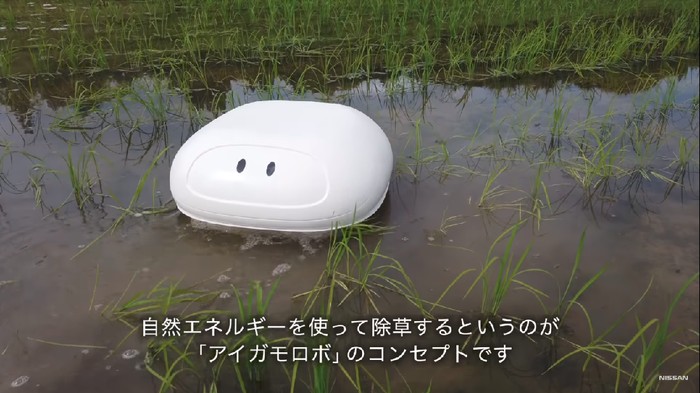 Ini robot bebek yang membantu petani di Jepang. (Foto: Screenshot YouTube) Ini robot bebek yang membantu petani di Jepang. (Foto: Screenshot YouTube)