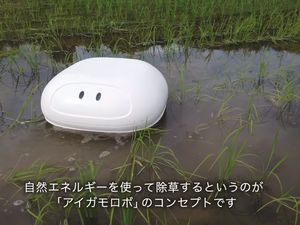 Seru! Robot Bebek Bantu Petani di Jepang