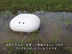 Seru! Robot Bebek Bantu Petani di Jepang