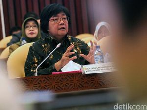 Soal Tumpahan Minyak Pertamina, Menteri LHK Pikir-pikir Beri Sanksi