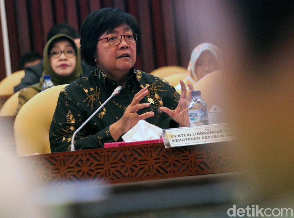 Menteri LHK Kejar Pelaku yang Kuliti Macan Dahan Menteri LHK Kejar Pelaku yang Kuliti Macan Dahan