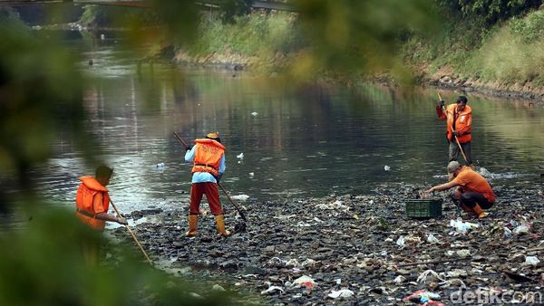 Aksi Pasukan Oranye Bersihkan Sampah di Kali Mati