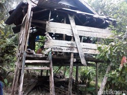 Ironi Lansia Miskin di Polman, Hidup Memprihatinkan di Gubuk Reyot