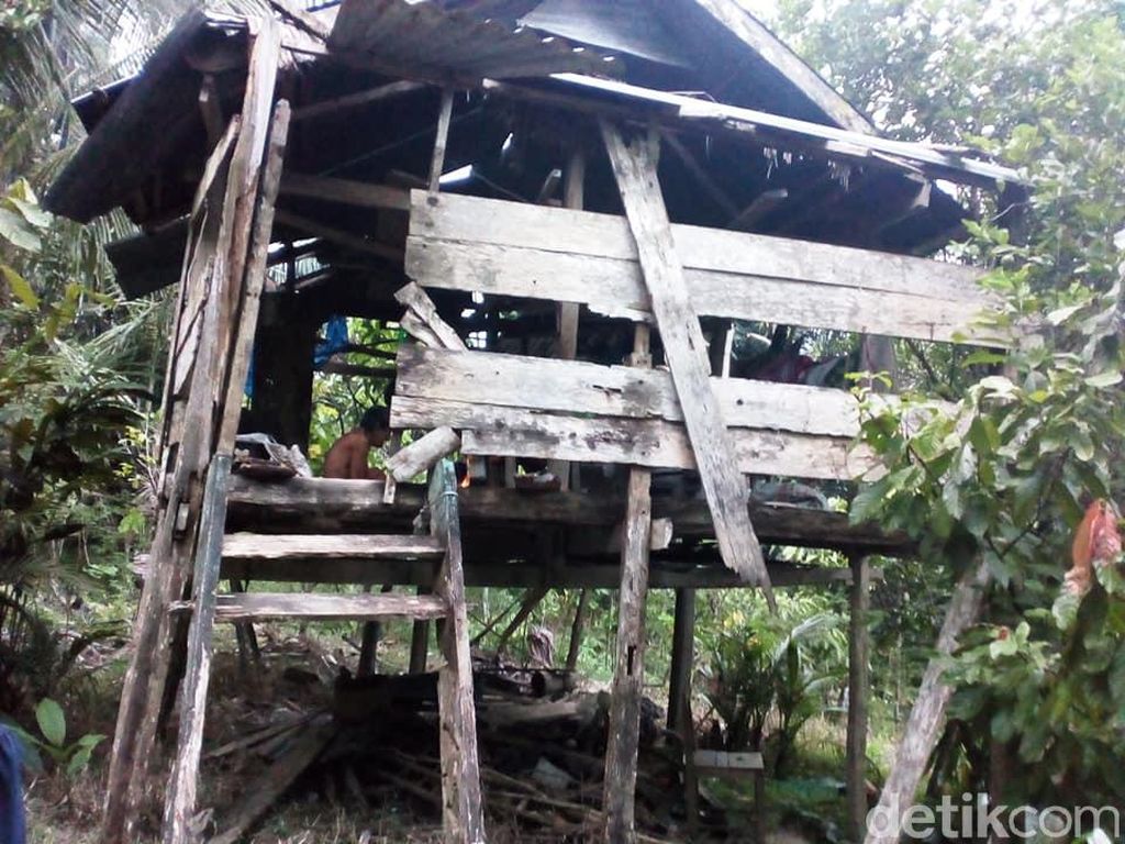 Ironi Lansia Miskin di Polman, Hidup Memprihatinkan di Gubuk Reyot Ironi Lansia Miskin di Polman, Hidup Memprihatinkan di Gubuk Reyot