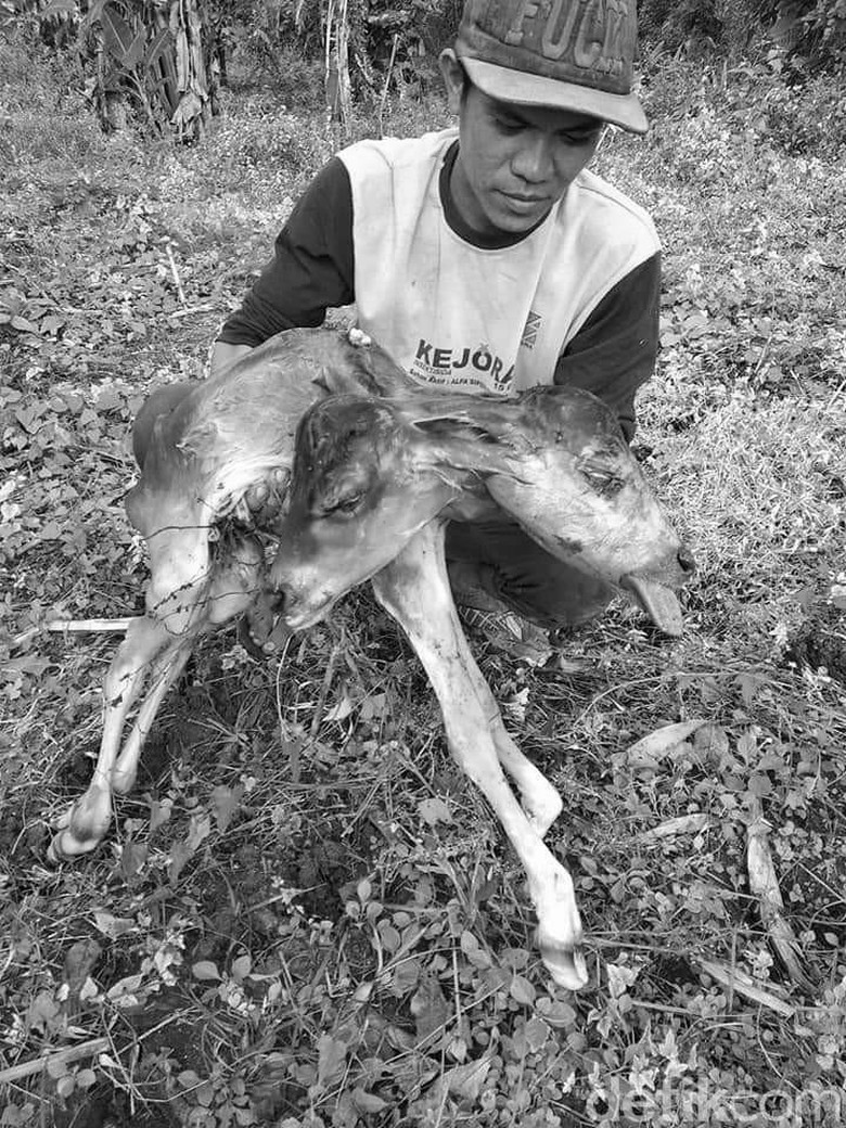 Lolosnya Hak Angket Dprd Ke Gubernur Sulsel Disebut Pertama Di Indonesia